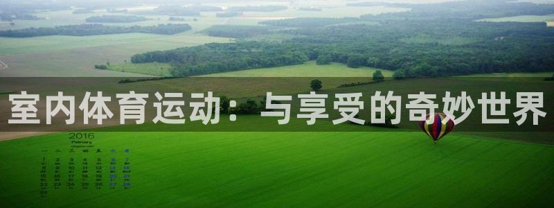 米兰体育官网下载娱乐:室内体育运动:与享受的奇妙世界
